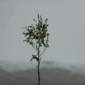 和尚吮女花蒂受不了了
